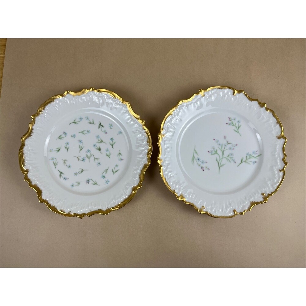 Vintage‎ Pair Of Limoges Scalloped Hand Painted Floral Plate 8.5" Golden Trim